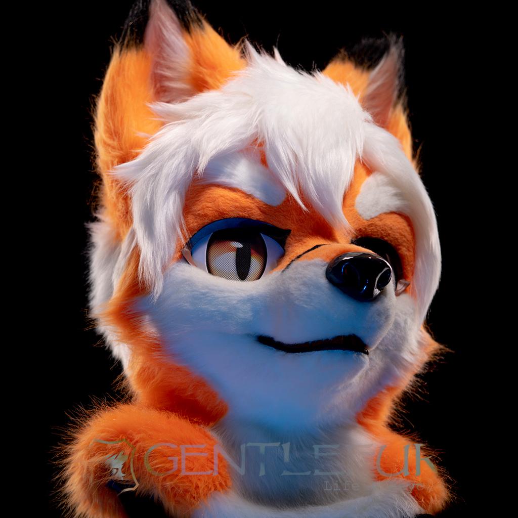 Static Iki IKI